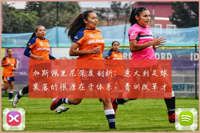 加斯佩里尼深度剖析：意大利足球衰落的根源在于体系，青训改革才是出路