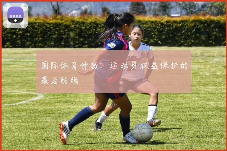 国际体育仲裁：运动员权益保护的最后防线